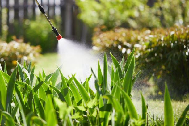 24/7 Emergency Mosquito Control experts in Grand Rapids, MI