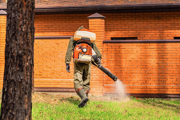 Top rated local Mosquito Control specialists in Grand Rapids, MI